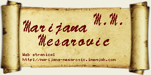 Marijana Mesarović vizit kartica